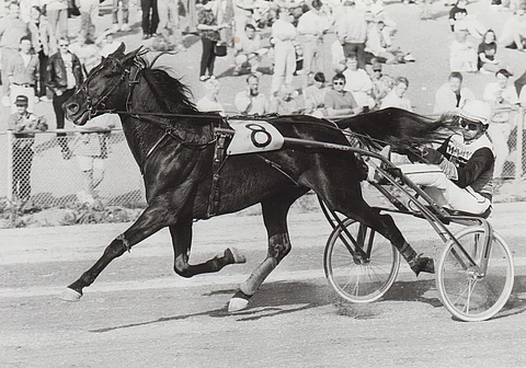 Born Quick ja Tommy Hanné. Kuva Juhani Länsiluoto.
