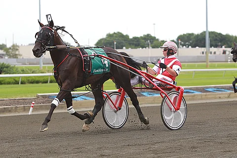 Chapter Seven oli Dexter Cup-karsintojen isäorinimi.