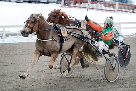 Antti Tupamäki tuulettaa Polaran voittoa. Kuva: Elina Paavola