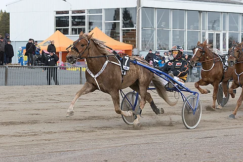 Äänestäjä toi Harri Kotilaiselle iltapäivän toisen ykkösen.