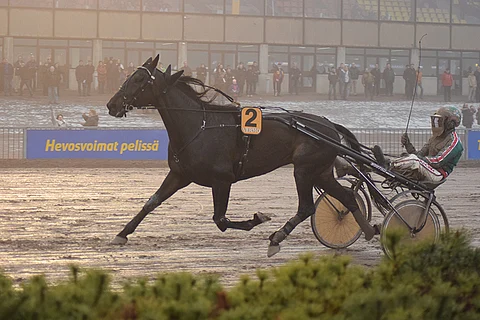 Seabiscuit oli pysäyttämätön Helsinki-ajossa.