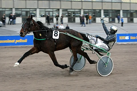 Arna Ruohomäki nosti käden pystyyn voiton merkiksi.