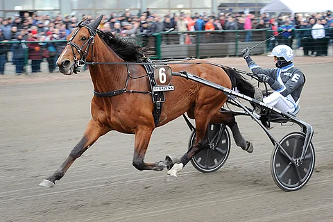 Twister Bi puolustaa ensi viikon sunnuntaina Oslo GP -voittoaan Bjerkessä. Kuva: Elina Paavola