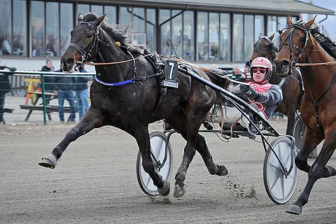 Valle Streamline räväytti maalisuoralla ohi keulahevosen.