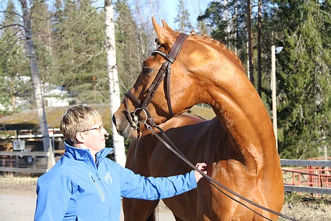 Anne Niemi ja Zecchino P.