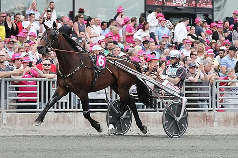 D.D.'s Hitman juoksee seuraavaksi Oslo Grand Prixissä. Kuva: Jarno Unkuri