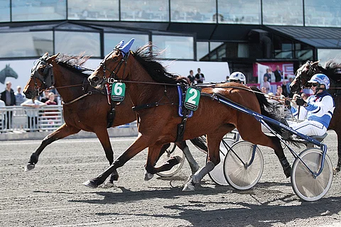 Donna Sisu johti tammojen nelivuotislähtöä vielä kierros jäljellä. Kuva: Jarno Unkuri.