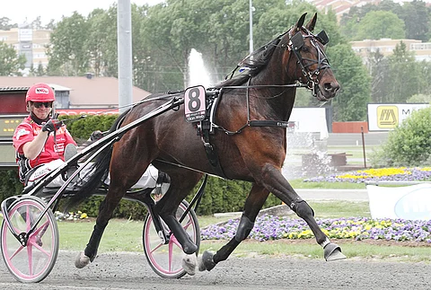 Janne Soronen ajaa Elian Webiä lauantain välierässä. Sunnuntain mahdolliseen finaaliin kuskiksi on sovittu alustavasti Jorma Kontio.