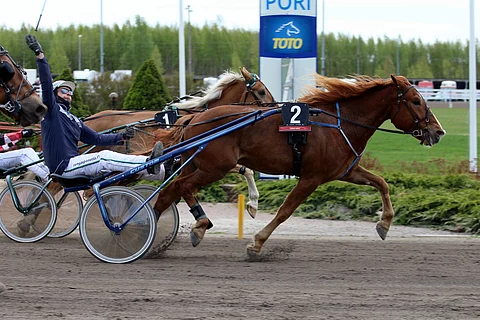 Mikko Niemistö nosti piiskan pystyyn voiton merkiksi.
