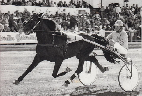 Pertti Puikkosen ohjastama Lucky Number oli ensimmäinen Suomessa syntynyt ravuri Elitloppetissa. Kuva Juhani Länsiluoto.