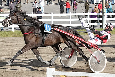 Saxoi jää pois finaalista