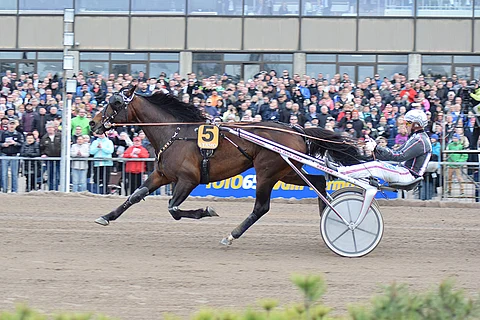 D.D.'s Hitman voitti viime vuonna Finlandia-ajon Vermon rataennätyksellä 09,8a.