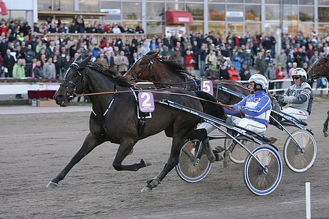 Kriteriumin finaalissa 2008 Target Hoss piti Boulder Classicon kurissa ja juoksi SE-ajan 15,6a / 2600 metriä.