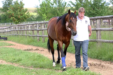 Timoko ja Richard Westerink.