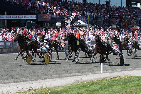 Urban Kronos (12) voitti ravien avauslähtönä juostun mailin, Wille's Rainmaker (1) oli neljäs ja Thelma de Glatigne (3) kolmas.