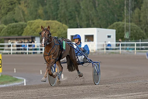 Välähdys on Mikkelin Toto5-kierroksen päävarma.