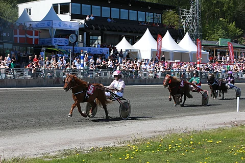 Kohti sinivalkoista kolmoisvoittoa, Pomona, Dynamit II, Thorvald. Kuva Totofoto