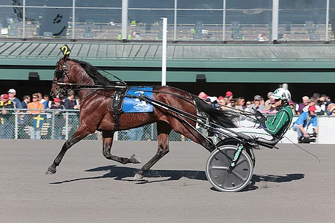 Resolve on huippuvireessä heti kauden alussa.