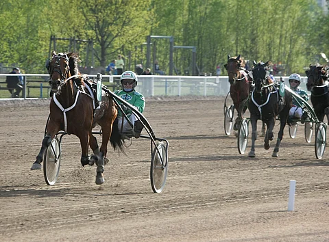 Spade Ace Frido karkasi lopussa maisemiin.