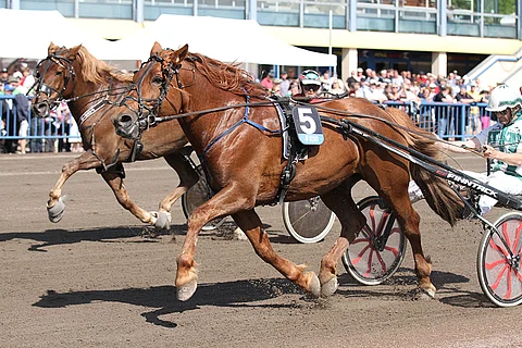 A.T. Veeti on mielenkiintoinen idea lauantaille.