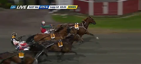 Grand Ale kamppaili ykköseksi Bodenin V75:ssa. Kuva: ATG Live