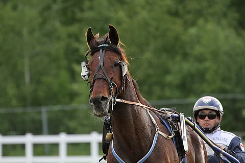 Jani Ruotsalaisen ajama Driller Man saattaa johtaa startista maaliin.