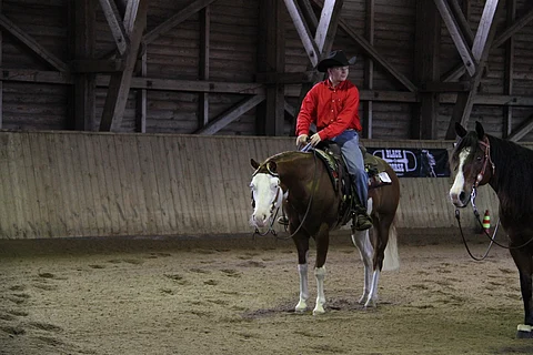 Pete Perkiö ja persoonallinen huippuratsu.