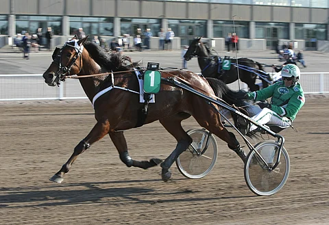 Spade Ace Frido oli lopulta ylivoimainen voittaja.