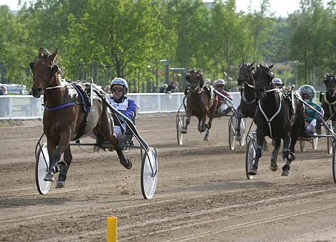 Twigs Voici irtosi muista nappireissun jälkeen varmasti.