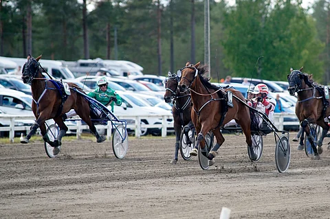 Like You kiersi tammalähdön voittoon takamatkalta.