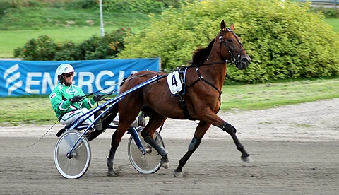 Mistelle on takarivistäkin oiva ideavarma Poriin.