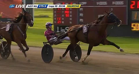 Rajesh Face voitti toisen karsinnan lennokkaalla tyylillä. Kuva: ATG Live