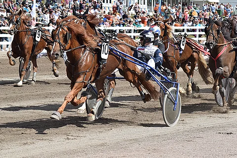 Callex on mukana kotiratansa SE-kokeessa. Kuva: Roosa Lindholm