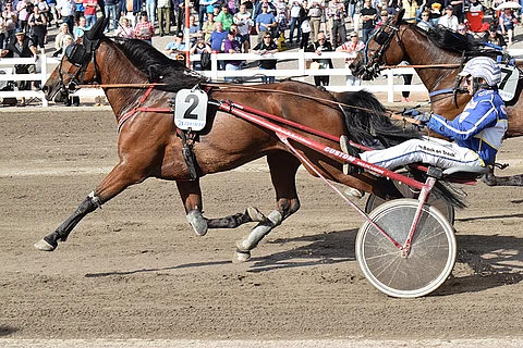 Johnny English pystyy voittoon.