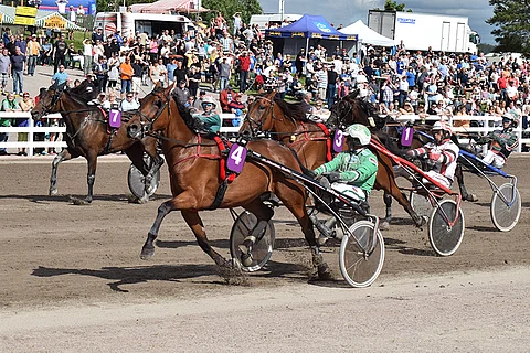 Willow Pride on sopiva keulavarma Lappeen Toto5-peliin.