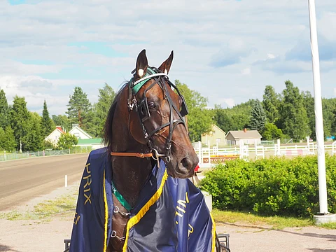 T.Rex oli sunnuntaina Riihimäen kingi.