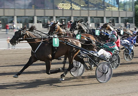 Stormysky viihtyy johtopaikalla.