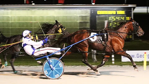 Suomen Mika Forss maalissa ensimmäisenä hevosella, jonka tuomaristo siirsi toiseksi viimeisen kaarteen kuvanauhojen perusteella tiistaina Georgian Downsissa. Jatkossa hän siirtyy Ontariosta seuraavaksi Quebecin MM-osalähtöihin. Kuva: Ilkka Nisula