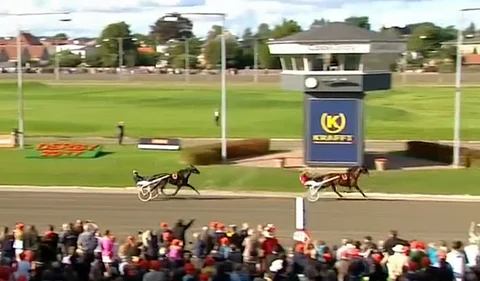 Bvlgari Peak voitti selvästi tallikaveri Balin Tanskan Derbyssä. Kuva: ATG Live