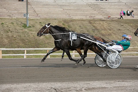 Double Cross vastasi ohitusta yrittäneelle Outfield Olgalle.