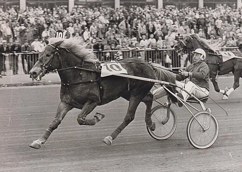 Olle ja Timo Takkinen.