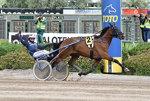 Dominique Halm on mielenkiintoinen tauoltapalaaja Toto65-kierroksen päätöskohteessa.