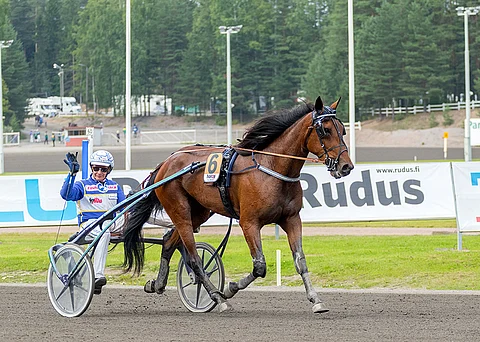 Gloria Web on Suur-Hollolan välieränsä ideasuosikki.