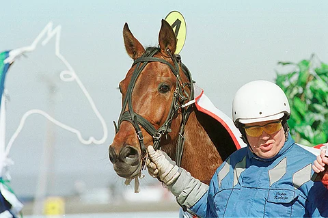 Tapio Kalaja on ohjastanut ensimmäiset starttinsa Heppa-järjestelmän kertomana jo 70-luvulla, ja ykköstiloja on kasassa jo pitkälti yli 500.