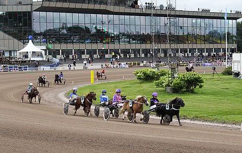 Jatkossa poniravilähdöt ovat katsottavissa Heppa-järjestelmän kautta pienellä viiveellä.
