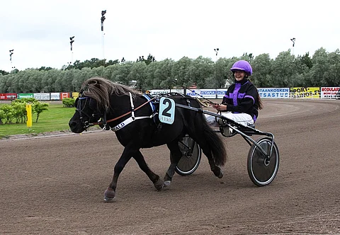 Thorvald ja Maria Kiukas, A-ponien Suomen mestarit vuosimallia 2017.