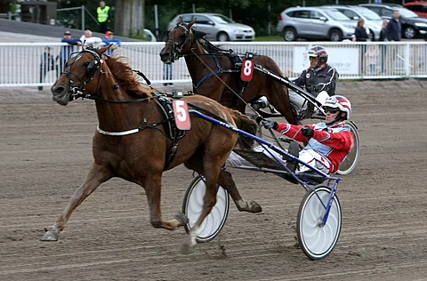 Harri Koivusen ajo sujui Meritin kanssa nappiin ja tamma kiitti karsintavoitolla.