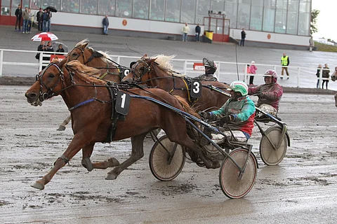 Akaasia irtosi varmaan voittoon Markku Hietasen antaessa menoluvan. Carmela työntyi toiseksi ennen Vieskerin Virvaa.