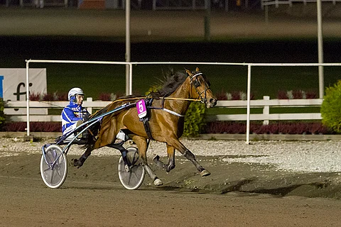 Gloria Web voitti viime syksynä Kriteriumkarsinnan. Kuva: Ada Pykäläniemi