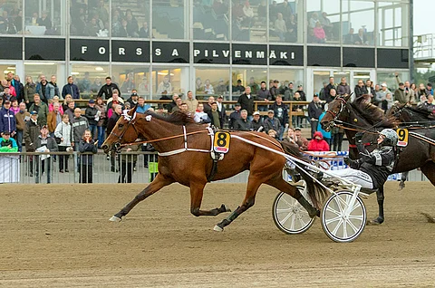 Dionne Sisu erottui edukseen Tammavaltikan maalisuoran taistossa.